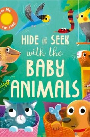 Cover of Hide and Seek with the Baby Animals