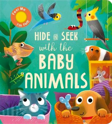 Book cover for Hide and Seek with the Baby Animals