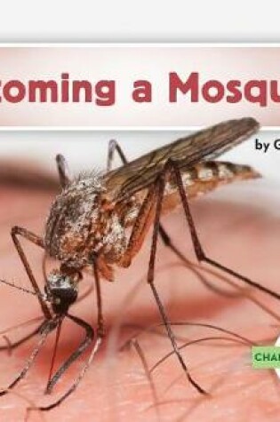 Cover of Becoming a Mosquito