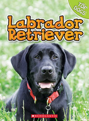 Book cover for Labrador Retriever
