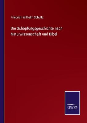 Book cover for Die Schöpfungsgeschichte nach Naturwissenschaft und Bibel