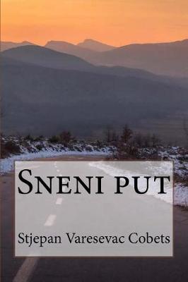 Book cover for Sneni Put
