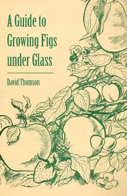 Book cover for A Guide to Growing Figs Under Glass