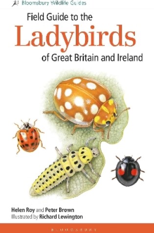 Cover of Field Guide to the Ladybirds of Great Britain and Ireland