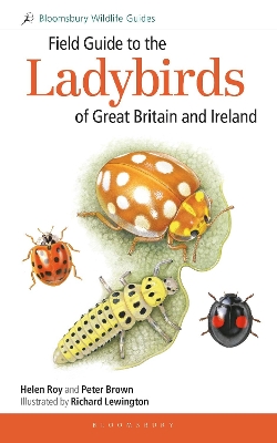 Book cover for Field Guide to the Ladybirds of Great Britain and Ireland