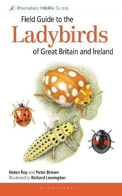 Cover of Field Guide to the Ladybirds of Great Britain and Ireland