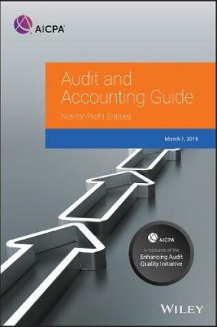 Cover of Auditing and Accounting Guide