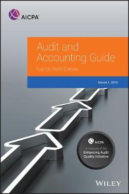 Cover of Auditing and Accounting Guide