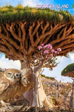 Cover of Socotra Island, Yemen