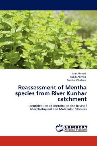 Cover of Reassessment of Mentha Species from River Kunhar Catchment