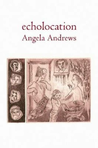 Cover of Echolocation