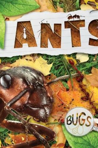 Cover of Ants