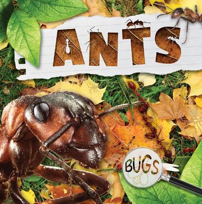 Cover of Ants