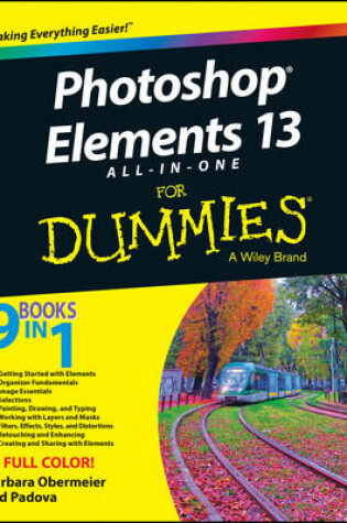 Cover of Photoshop Elements 13 All–in–One For Dummies