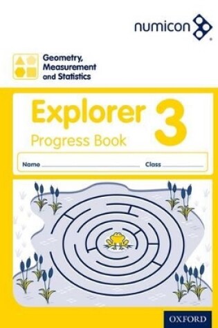 Cover of Geometry, Measurement and Statistics 3 Explorer Progress Book