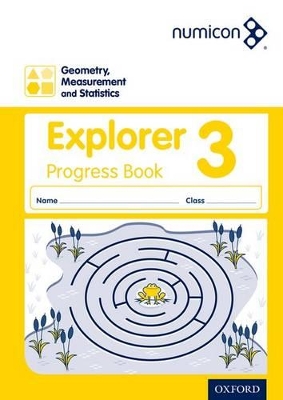 Book cover for Geometry, Measurement and Statistics 3 Explorer Progress Book