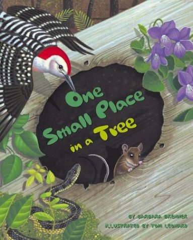 Book cover for One Small Place in a Tree