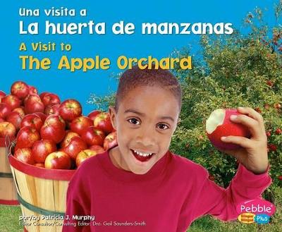 Book cover for La Huerta de Manzanas / The Apple Orchard