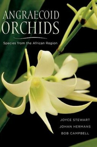 Cover of Angraecoid Orchids