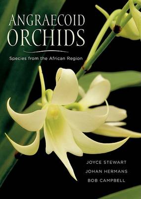 Book cover for Angraecoid Orchids