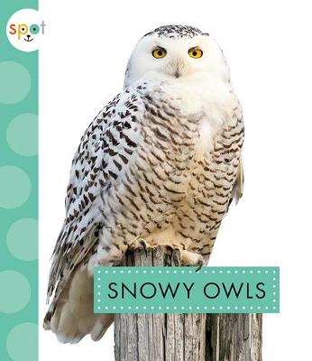 Book cover for Snowy Owls