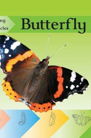 Cover of Butterfly