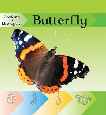 Cover of Butterfly