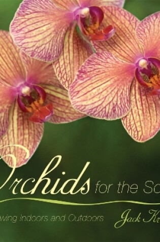 Cover of Orchids for the South