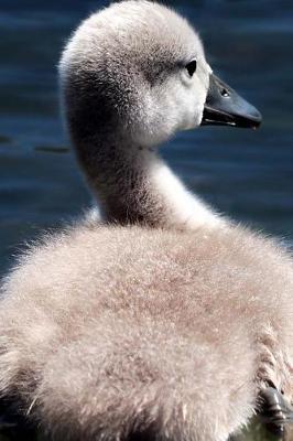 Book cover for Sweet Baby Swan Cygnet on the Water Nature Journal