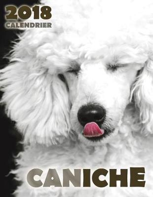 Book cover for Caniche 2018 Calendrier (Edition France)