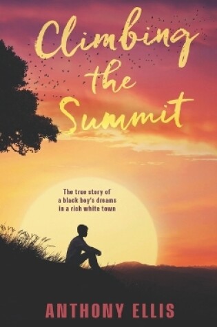 Cover of Climbing The Summit