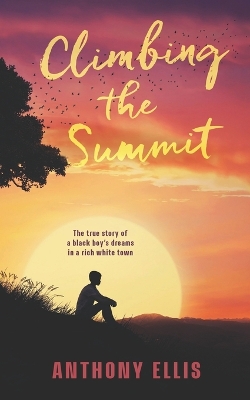 Book cover for Climbing The Summit