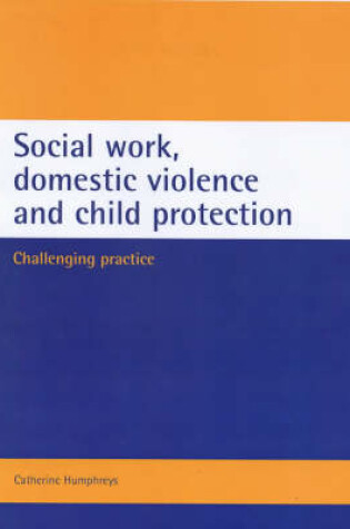 Cover of Social work, domestic violence and child protection