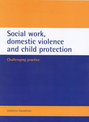 Book cover for Social work, domestic violence and child protection