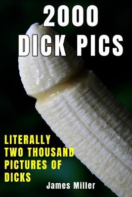 Book cover for 2000 Dick Pics