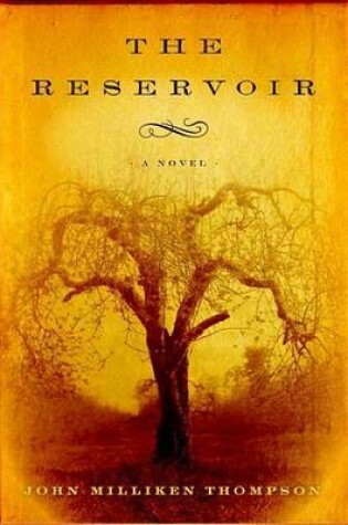 Cover of Reservoir