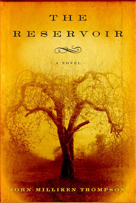 Book cover for The Reservoir