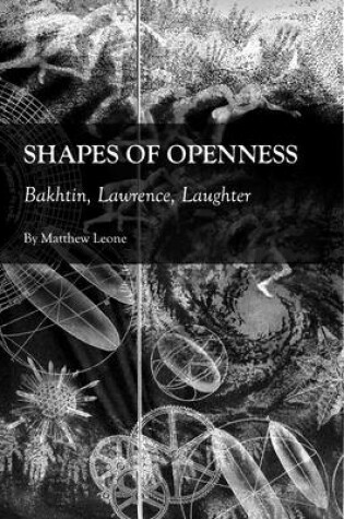 Cover of Shapes of Openness