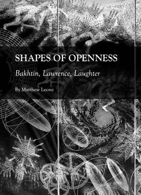 Book cover for Shapes of Openness