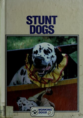 Book cover for Stunt Dogs