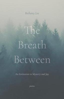 Book cover for The Breath Between