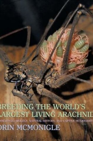Cover of Breeding the World's Largest Living Arachnid