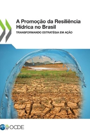 Cover of A Promo��o Da Resili�ncia H�drica No Brasil Transformando Estrat�gia Em A��o