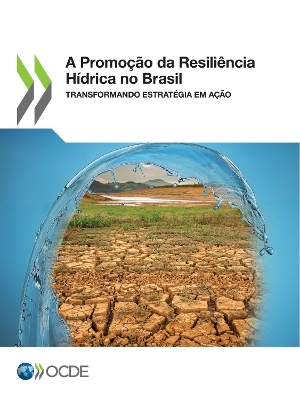 Book cover for A Promo��o Da Resili�ncia H�drica No Brasil Transformando Estrat�gia Em A��o