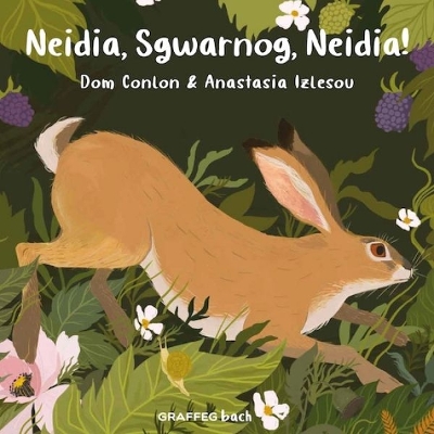 Book cover for Neidia, Sgwarnog, Neidia!