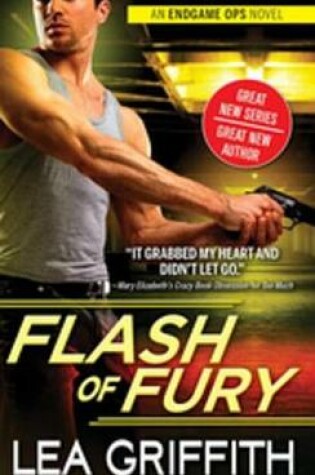 Cover of Flash of Fury