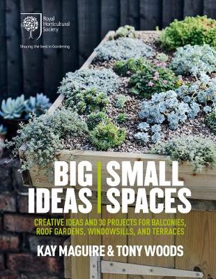 Book cover for RHS Big Ideas, Small Spaces