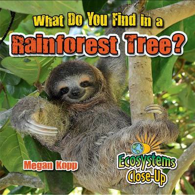 Cover of What Do You Find in a Rainforest Tree?