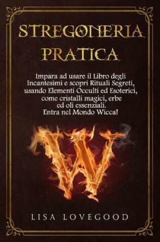 Cover of Stregoneria pratica