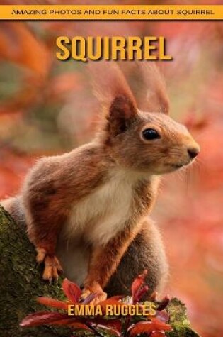 Cover of Squirrel